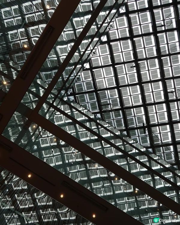 Travel Buddies日本東京遊記‧GH @ Koalascities