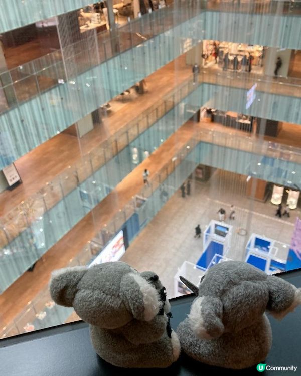 Travel Buddies日本東京遊記‧GH @ Koalascities