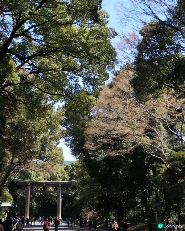 Travel Buddies日本東京遊記‧GH @ Koalascities