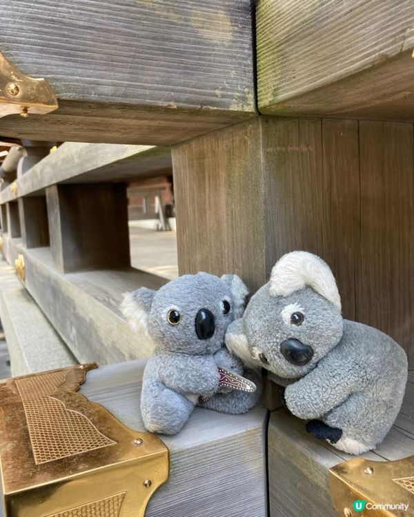 Travel Buddies日本東京遊記‧GH @ Koalascities