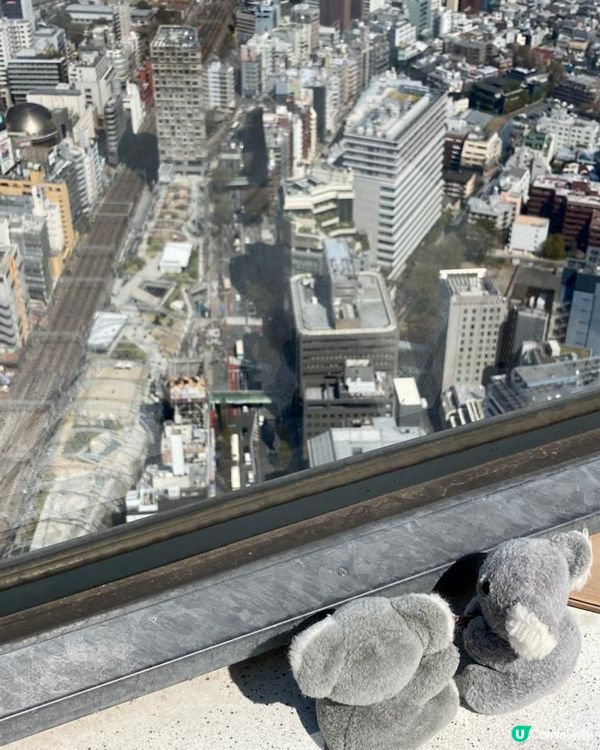 Travel Buddies日本東京遊記‧GH @ Koalascities