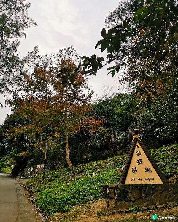 [跟我走。官方四大徑]6 - 衛奕信徑第9.5段至10段