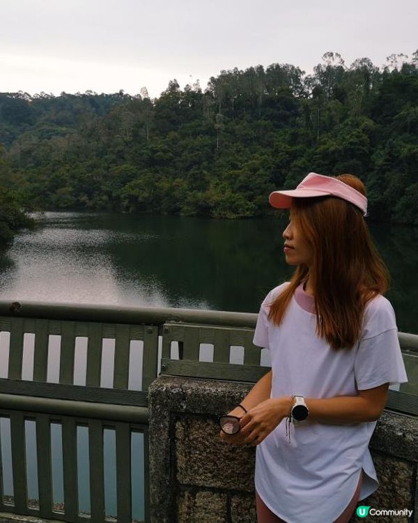 [跟我走。官方四大徑]6 - 衛奕信徑第9.5段至10段