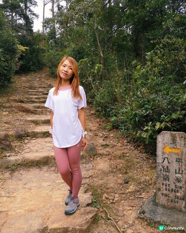 [跟我走。官方四大徑]6 - 衛奕信徑第9.5段至10段