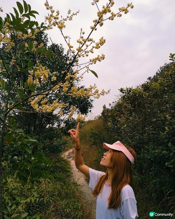 [跟我走。官方四大徑]6 - 衛奕信徑第9.5段至10段