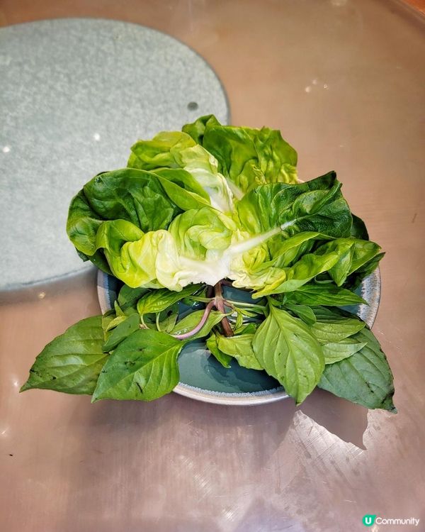 銅鑼灣最佳越菜 @ 安南 ( 銅鑼灣利園二期 )