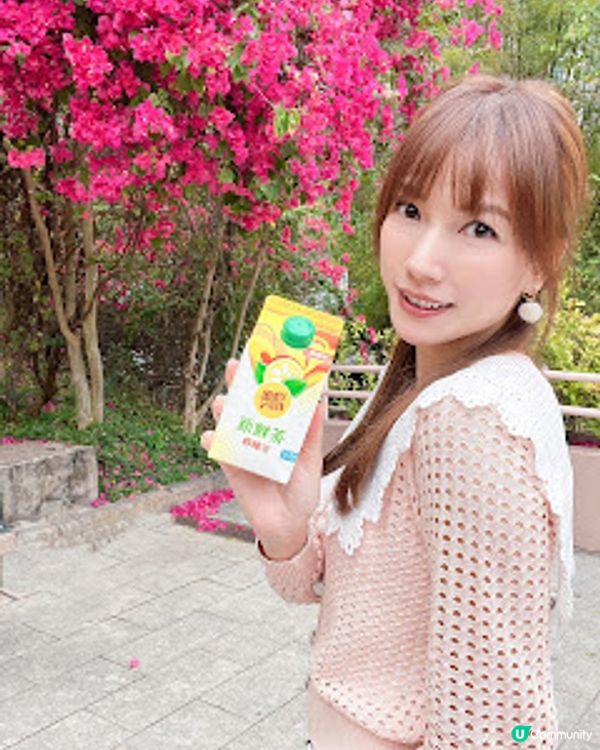 【維他】新鮮茶系列 茶味香濃帶檸檬鮮香 實屬夏日心水選擇