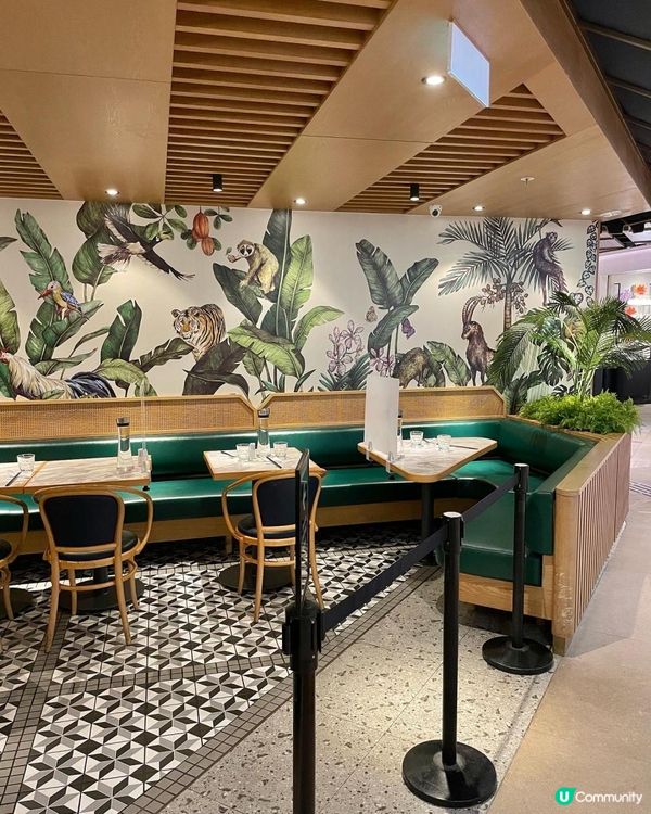 𖧷酒店級新加坡必食海南雞𖧷