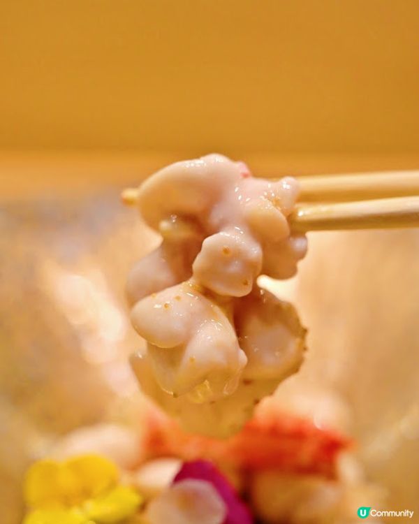 超級好味牡丹蝦。尖沙咀回味無窮 Omakase (附Youtube影片）鮨盛 Sushi Sakaru