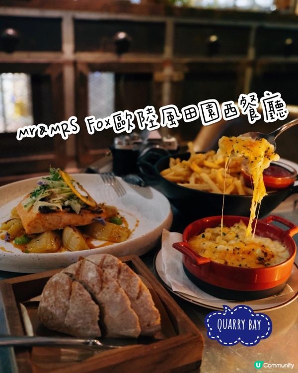 Belly Go Round-Mr & Mrs Fox