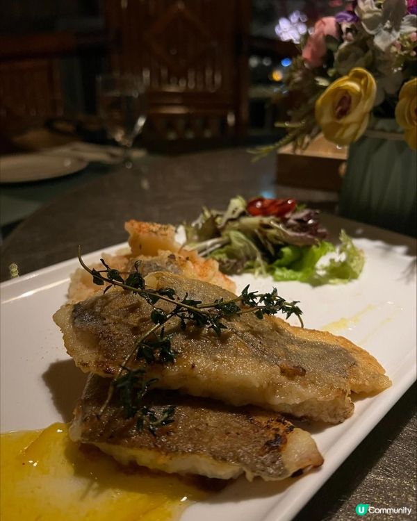 大埔其實唔只許願樹去🥹