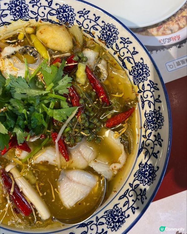 回訪又再回訪嘅麻辣風雲😻💕