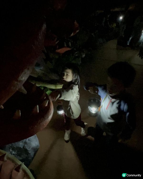 《🦖侏羅紀恐龍探險樂園香港站🦖》好好玩