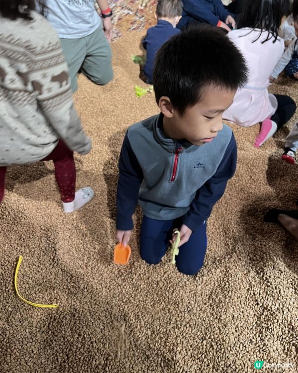 《🦖侏羅紀恐龍探險樂園香港站🦖》好好玩