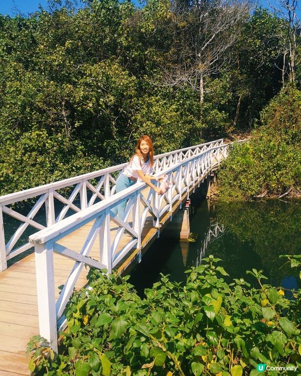 [行山要打卡]37 - 白水碗。露營灣