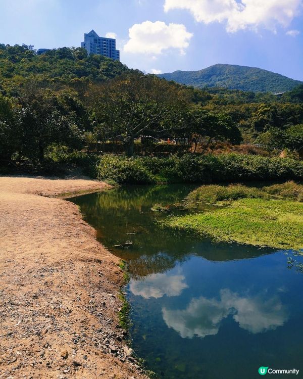 [行山要打卡]37 - 白水碗。露營灣