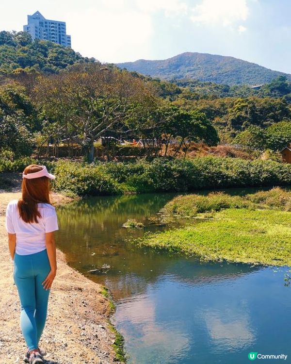 [行山要打卡]37 - 白水碗。露營灣