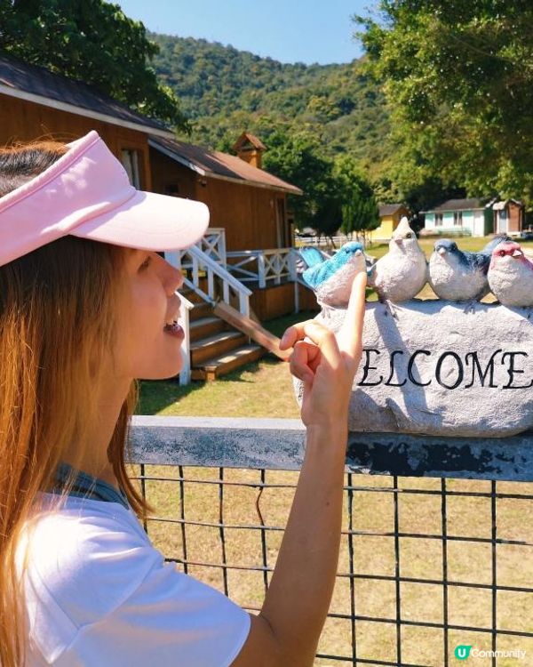 [行山要打卡]37 - 白水碗。露營灣