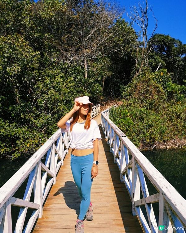 [行山要打卡]37 - 白水碗。露營灣