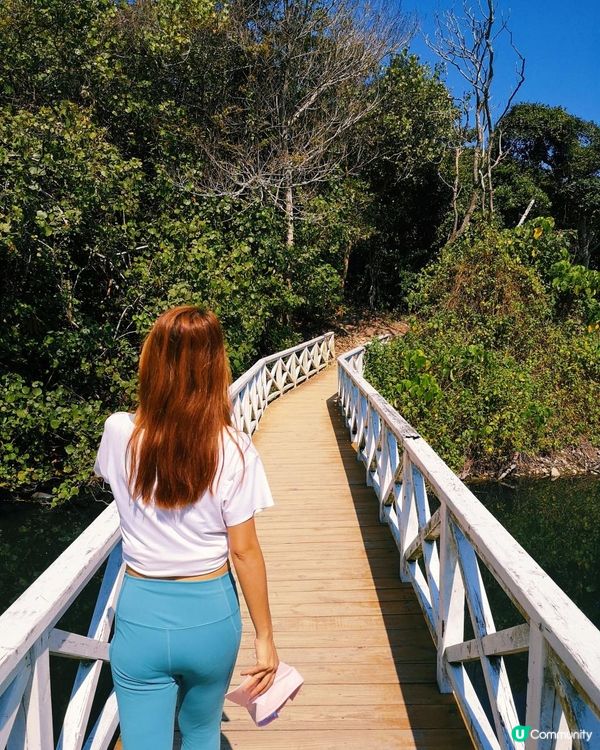 [行山要打卡]37 - 白水碗。露營灣