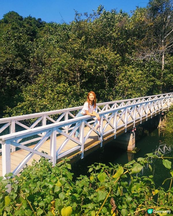 [行山要打卡]37 - 白水碗。露營灣