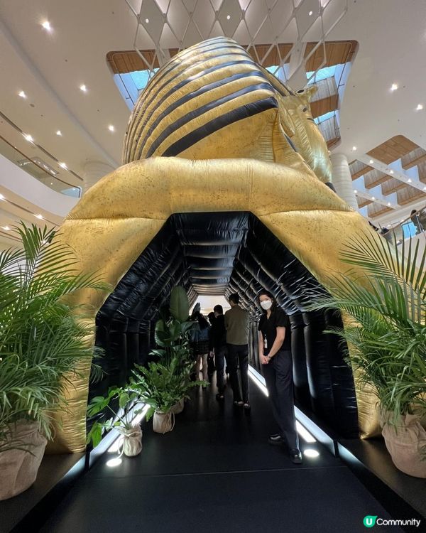 香港都可以睇到獅身人面像⁉️