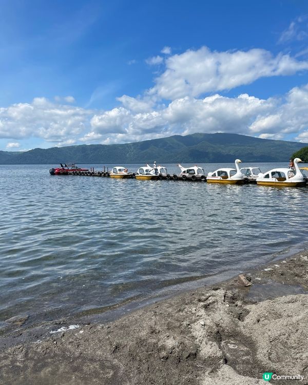 屈斜路湖會見到水怪