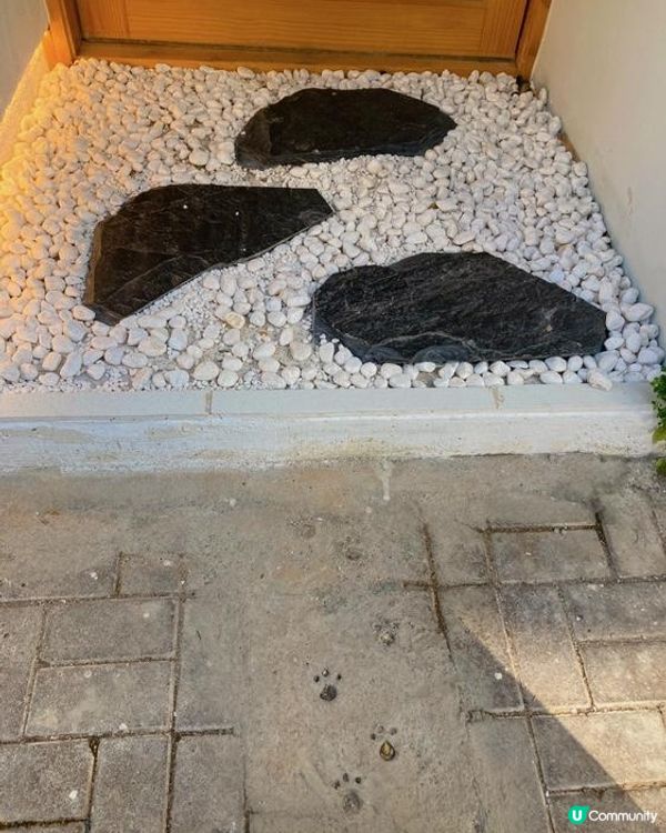 Belly Go Round-Neko熊穴