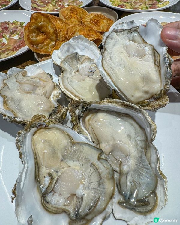 深圳必吃滋味雞煲