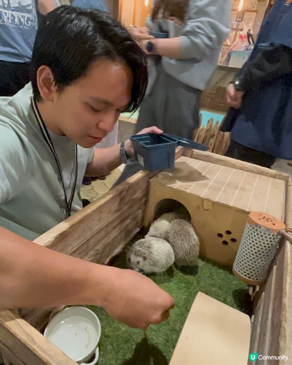 大阪動物cafe🐩🐖🐈🦔🦥❤️