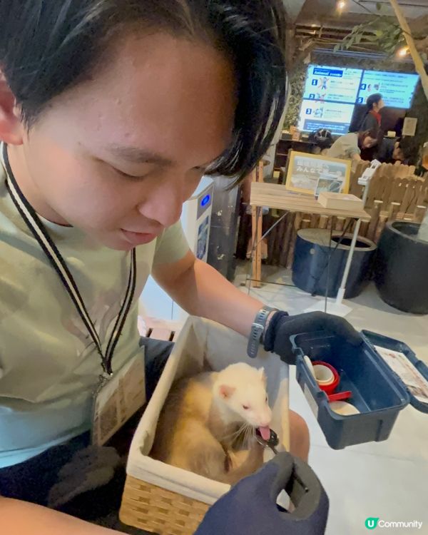 大阪動物cafe🐩🐖🐈🦔🦥❤️