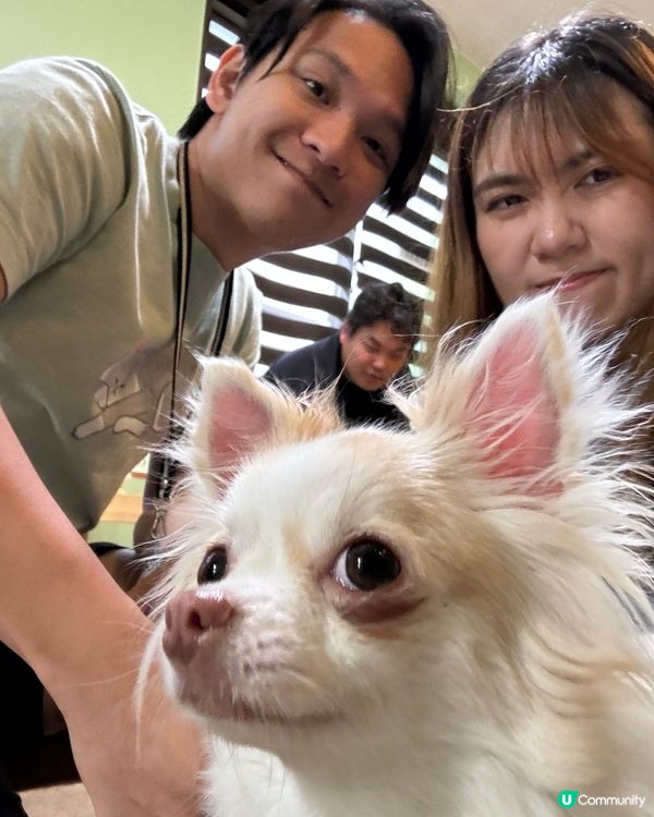 大阪動物cafe🐩🐖🐈🦔🦥❤️