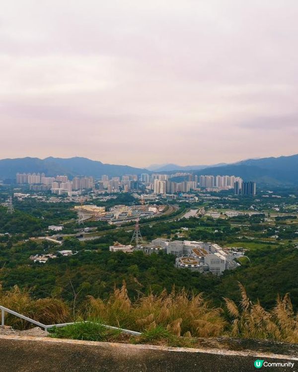 [行山要打卡]36 - 大石磨。馬草壟