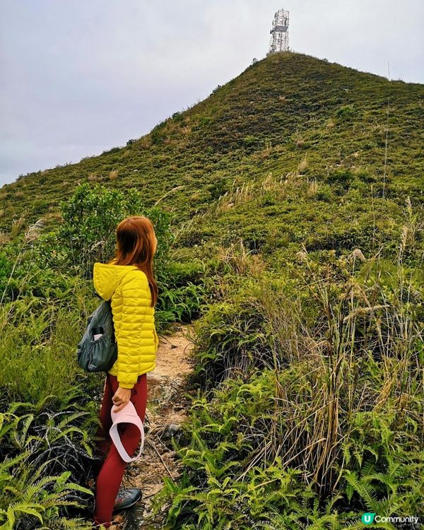 [行山要打卡]36 - 大石磨。馬草壟