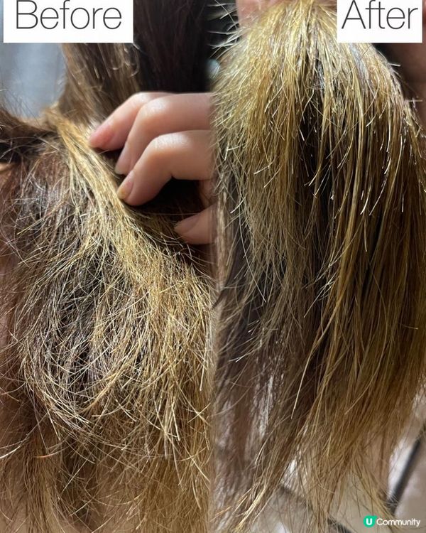 用家實測【KÉRASTASE逆時光至臻修護系列】再見毛燥髮質 逆轉髮齡