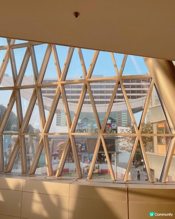 山頂寵物友善PHI Coffee 