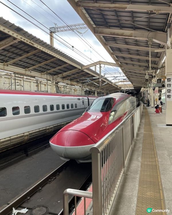 日本東北白色新年之旅 --- 秋田雪中環湖田澤湖、そば五郎比內地雞十割蕎麥麵