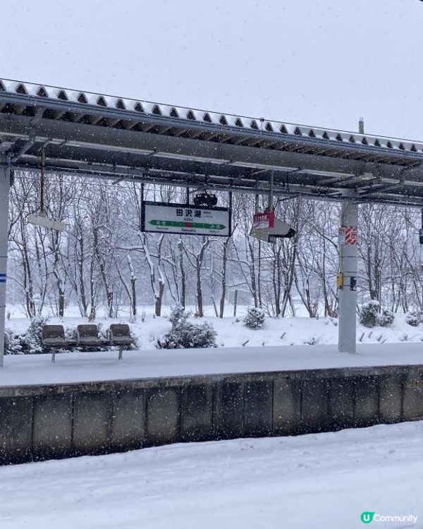 日本東北白色新年之旅 --- 秋田雪中環湖田澤湖、そば五郎比內地雞十割蕎麥麵