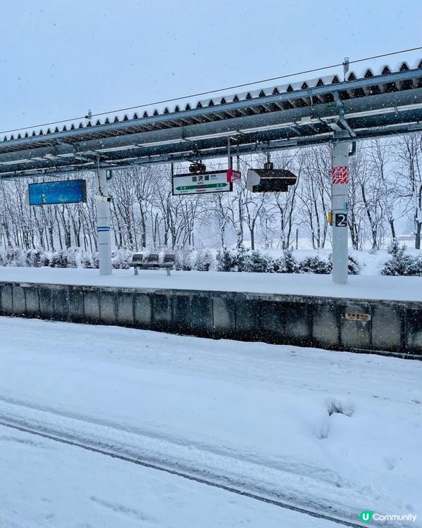 日本東北白色新年之旅 --- 秋田雪中環湖田澤湖、そば五郎比內地雞十割蕎麥麵