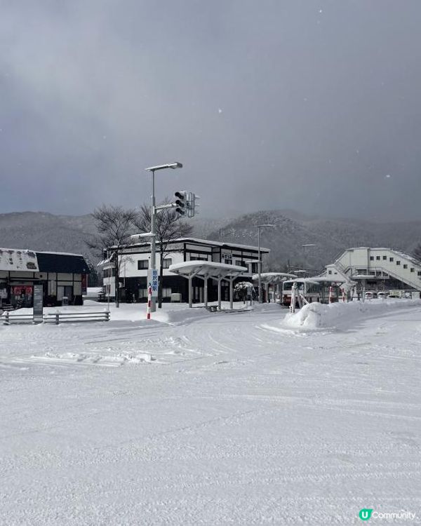 日本東北白色新年之旅 --- 秋田雪中環湖田澤湖、そば五郎比內地雞十割蕎麥麵