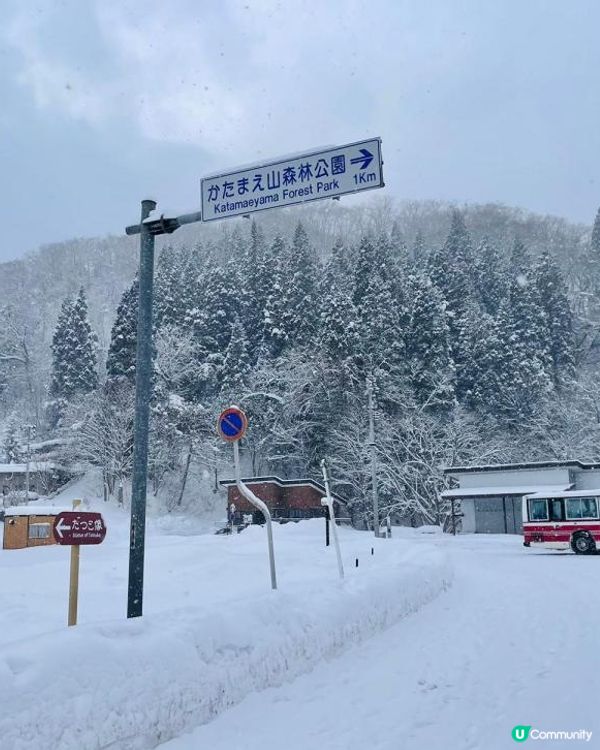 日本東北白色新年之旅 --- 秋田雪中環湖田澤湖、そば五郎比內地雞十割蕎麥麵