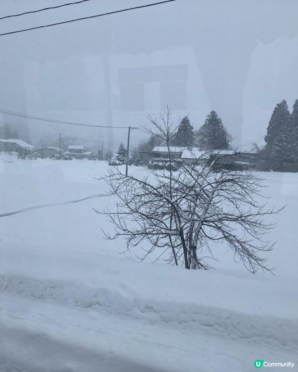 日本東北白色新年之旅 --- 秋田雪中環湖田澤湖、そば五郎比內地雞十割蕎麥麵