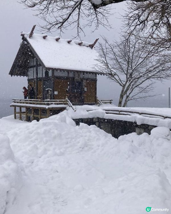 日本東北白色新年之旅 --- 秋田雪中環湖田澤湖、そば五郎比內地雞十割蕎麥麵