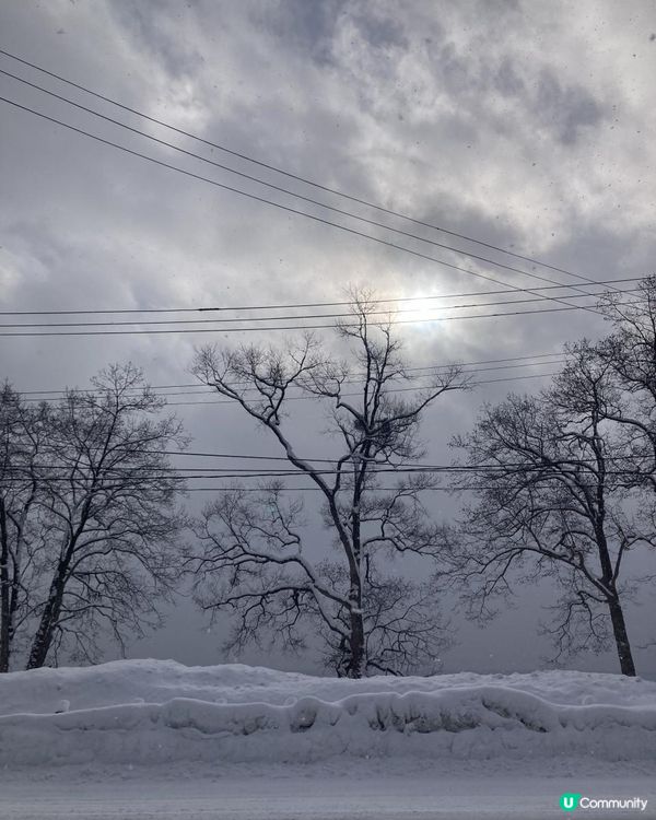 日本東北白色新年之旅 --- 秋田雪中環湖田澤湖、そば五郎比內地雞十割蕎麥麵