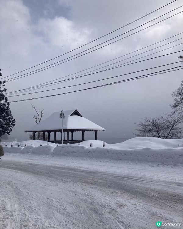 日本東北白色新年之旅 --- 秋田雪中環湖田澤湖、そば五郎比內地雞十割蕎麥麵