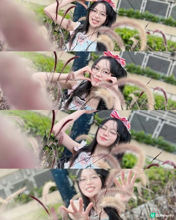 櫻花🌸終於開了！