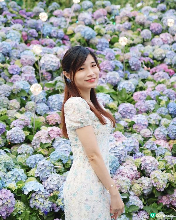 【花海中打卡】2023香港花卉展覽