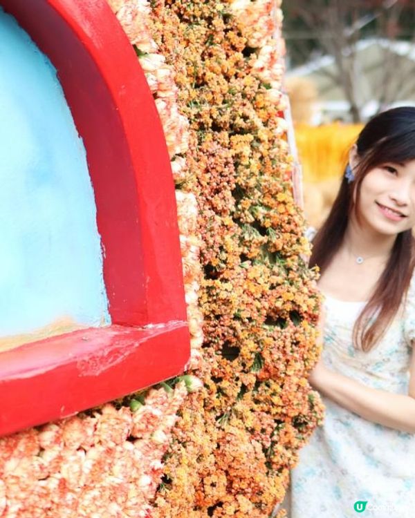 【花海中打卡】2023香港花卉展覽