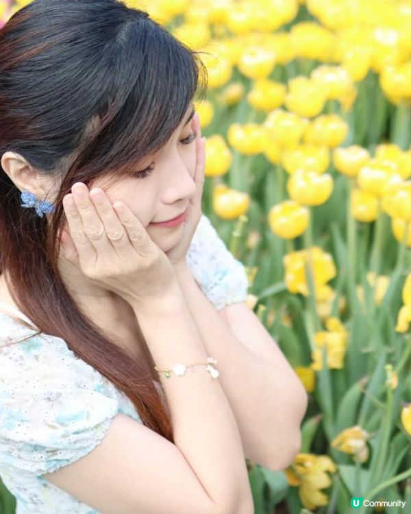 【花海中打卡】2023香港花卉展覽