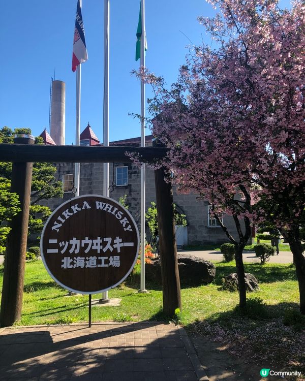 ## 余市威士忌之旅🥃  北海道必去！